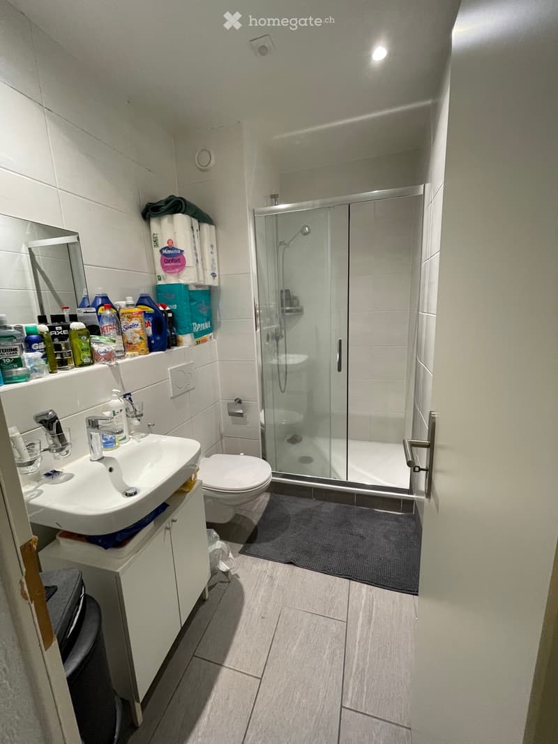 Reprise de bail - Appartement meublé rénové à neuf (4)