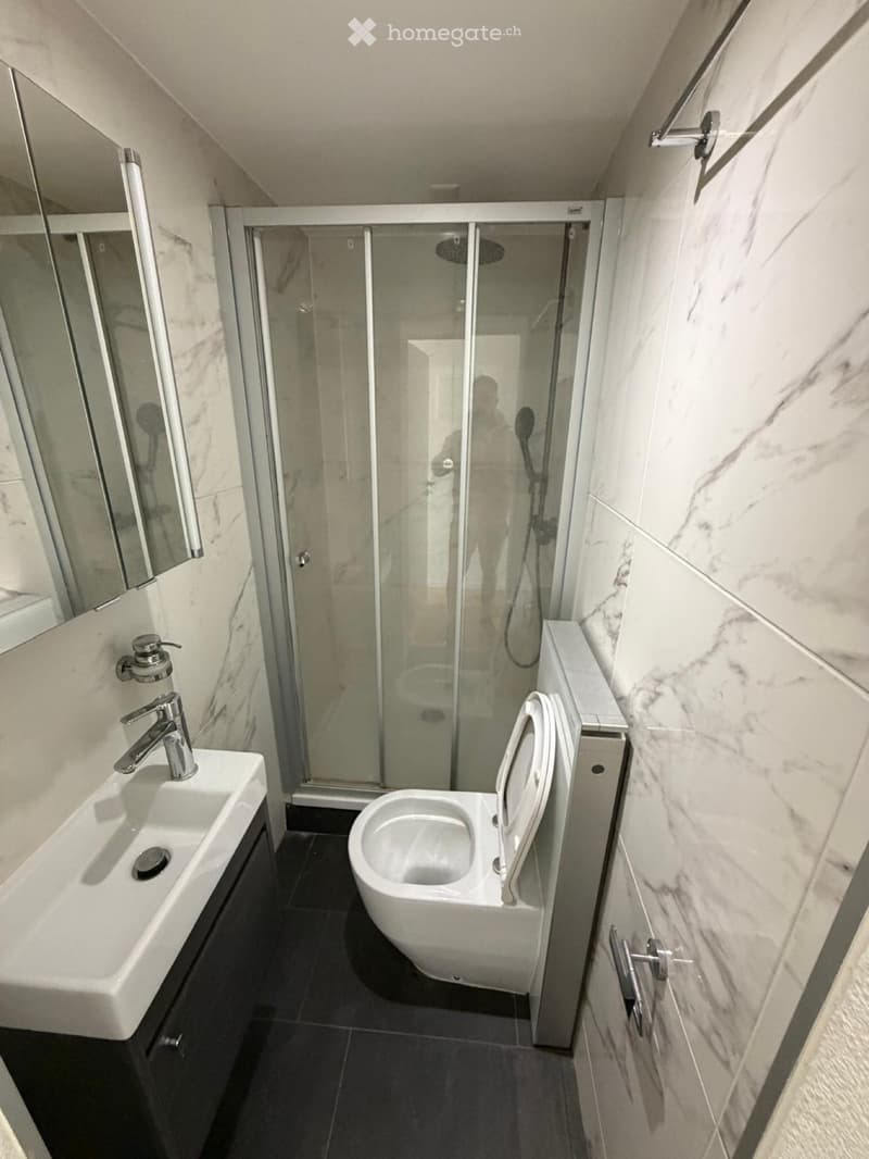Apartement à louer 4.5 pieces (5)