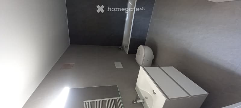 Appartement duplex 4 pièces, 3 loggias, galetas (3)