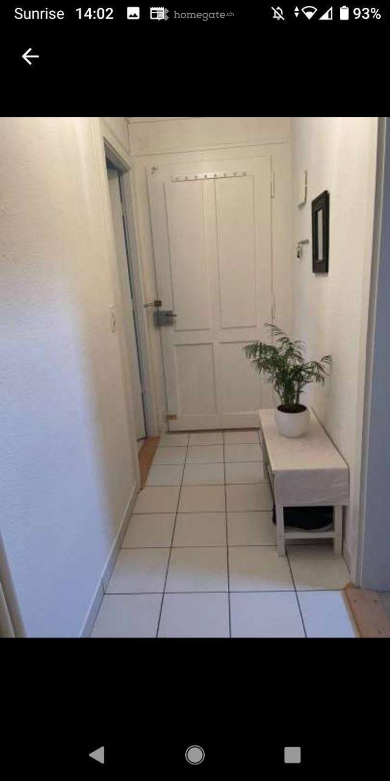 3.5 pièces spacieux à Plainpalais (reprise de bail) (5)