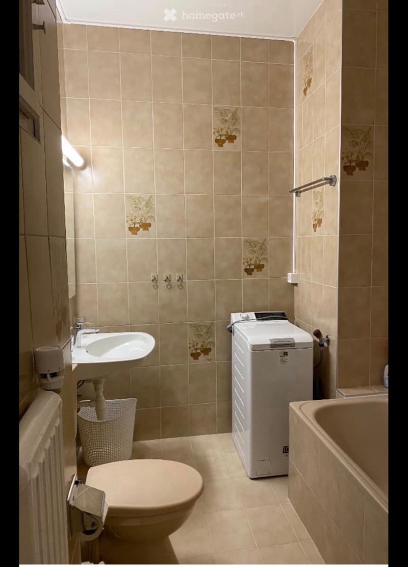 Bel appartement 2 pièces, quartier Malagnou-Eaux Vives (3)