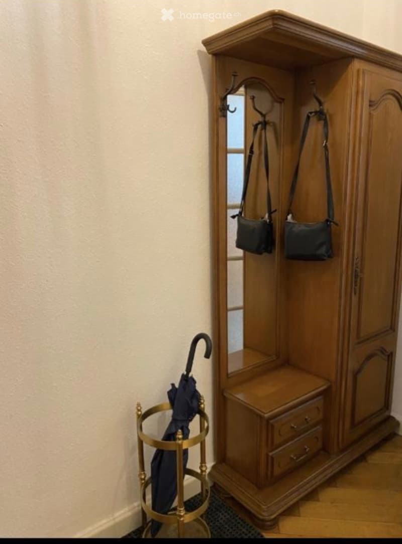 Bel appartement 2 pièces, quartier Malagnou-Eaux Vives (4)