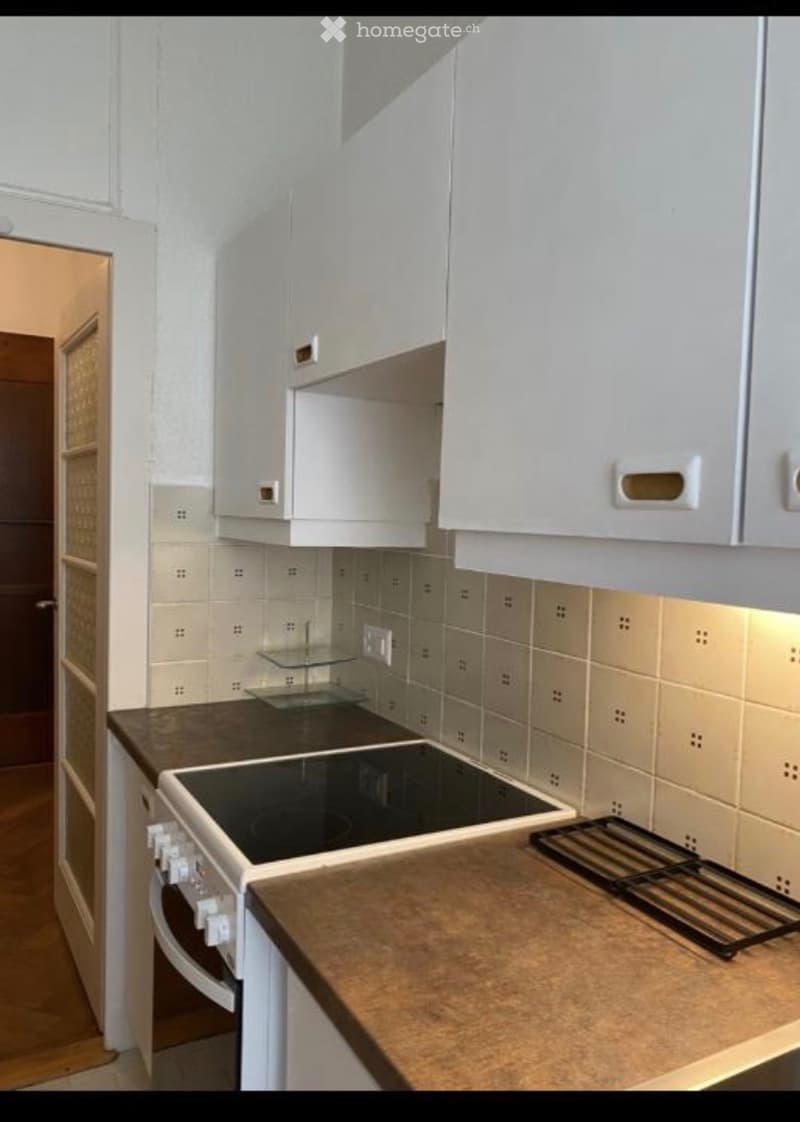 Bel appartement 2 pièces, quartier Malagnou-Eaux Vives (1)