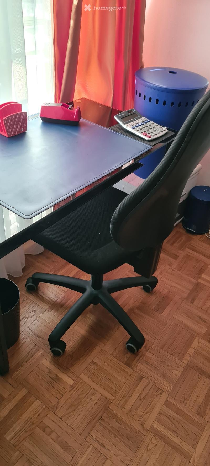 Chambre à louer à Vevey chez l habitant (3)