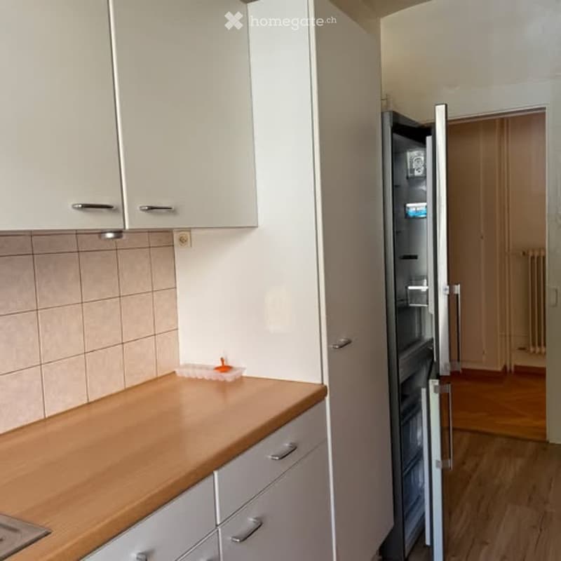 Bel appartement à louer (5)