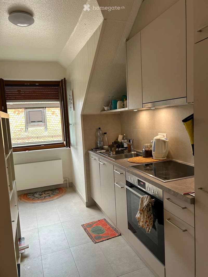 2.5 pièces avec charme rénové (2)