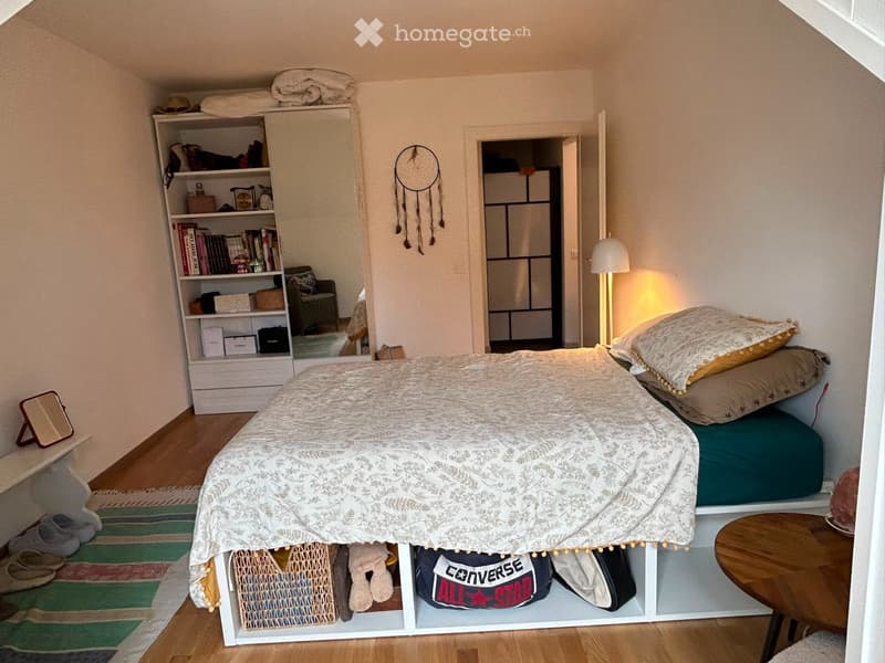 2.5 pièces avec charme rénové (3)