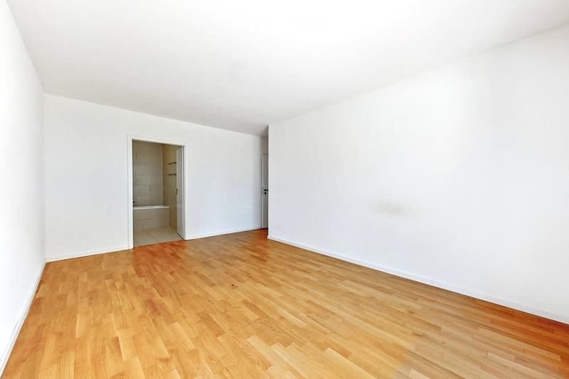 3.5 pièces lumineux, moderne et fonctionnel - proche de ISL (3)