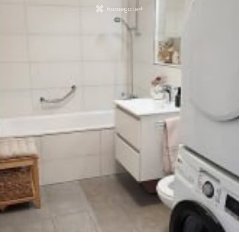 4 pièces dans le quartier des Eaux-Vives (5)