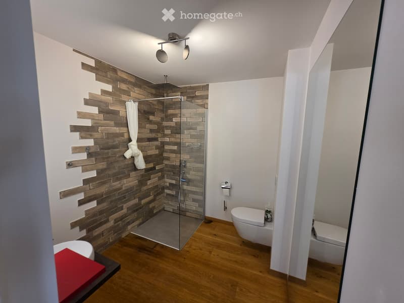 Grand studio lumineux de 60m2 (3)