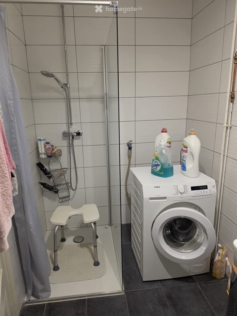 Deux grands 4 pièces . Même disposition des pièces. (4)