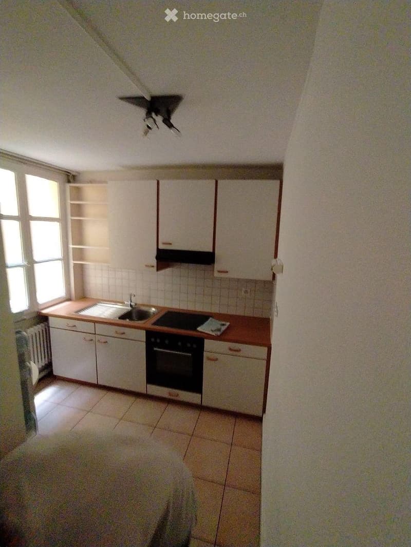 Appartement parisien Nyon (4)