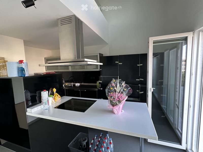 APPARTEMENT À REMETTRE DUPLEX 4.5 PIÈCES 146 m² - PRILLY (4)
