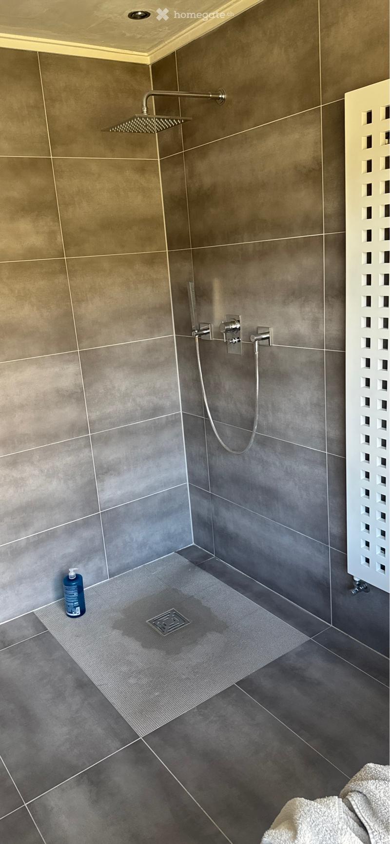 Grande chambre dans villa avec jardin et piscine (5)