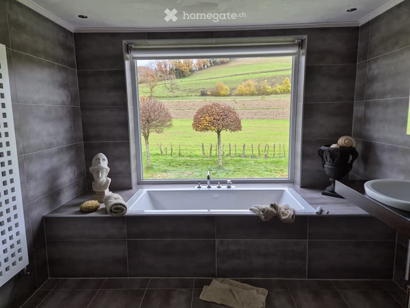 Grande chambre dans villa avec jardin et piscine (3)