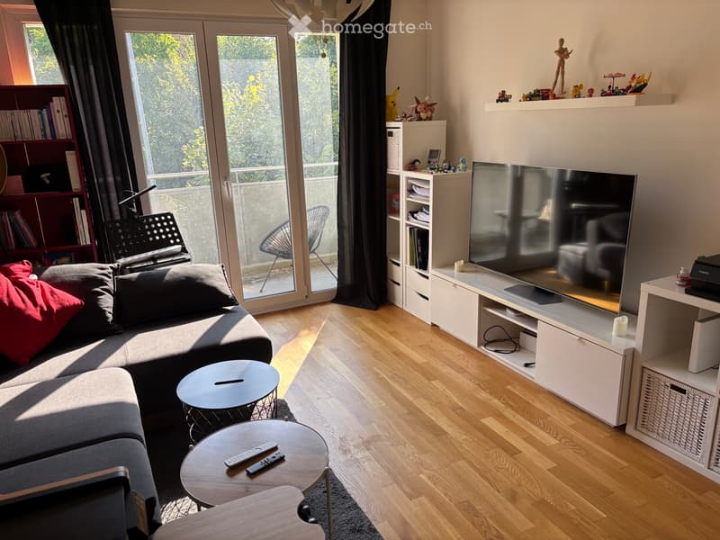 Super appartement dans un quartier calme de Fribourg (3)