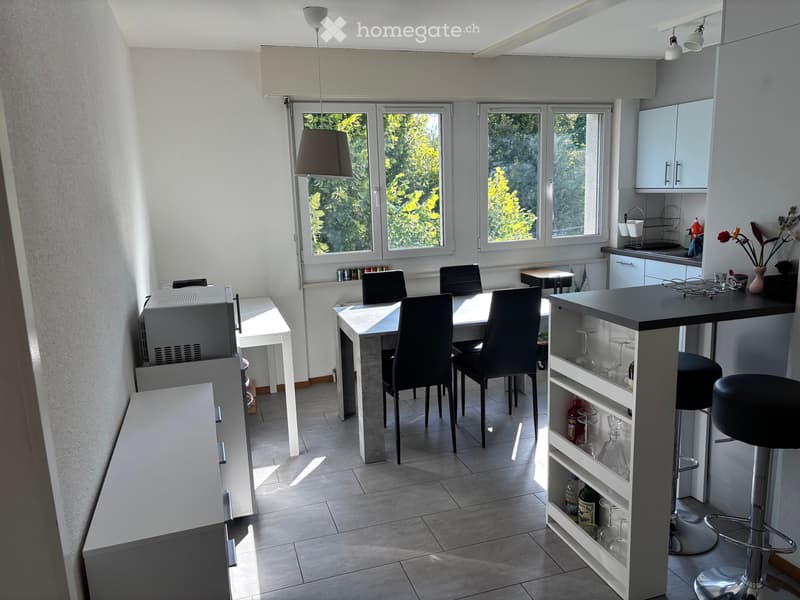Super appartement dans un quartier calme de Fribourg (2)