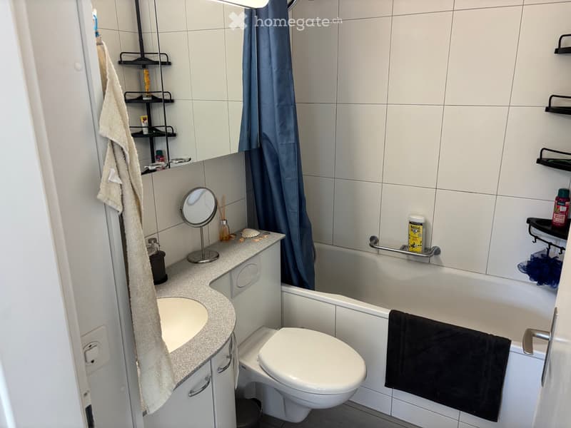 Super appartement dans un quartier calme de Fribourg (5)