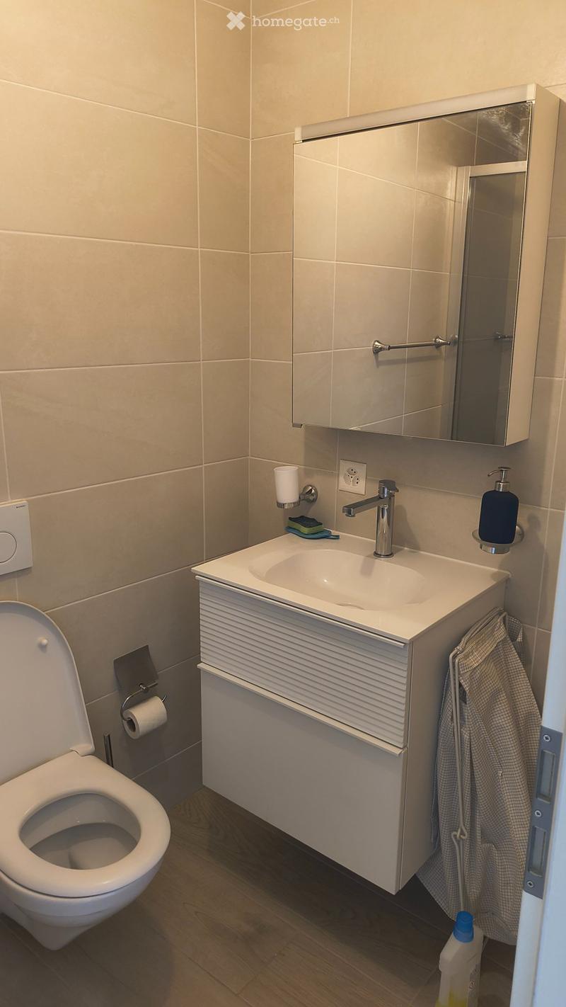 Grand studio de 40 m2 rénové et lumineux à Grand-Lancy (4)
