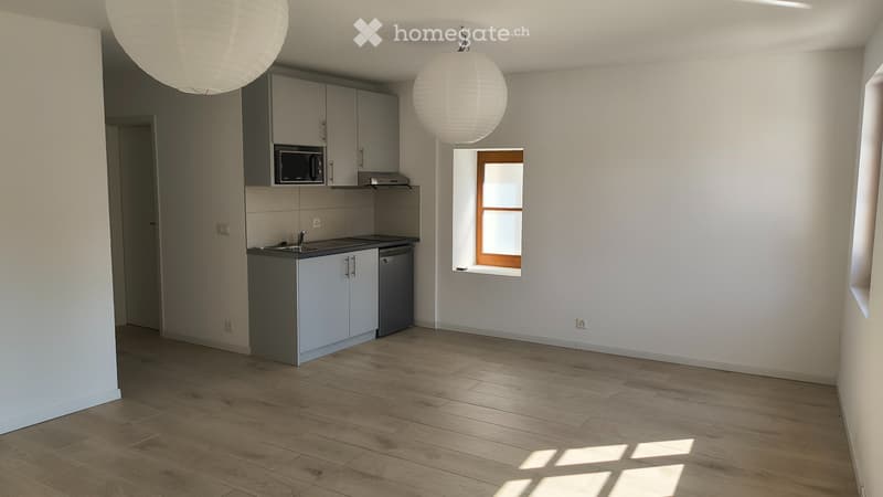 Grand studio de 40 m2 rénové et lumineux à Grand-Lancy (3)