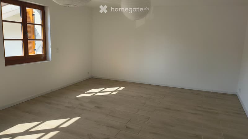 Grand studio de 40 m2 rénové et lumineux à Grand-Lancy (2)