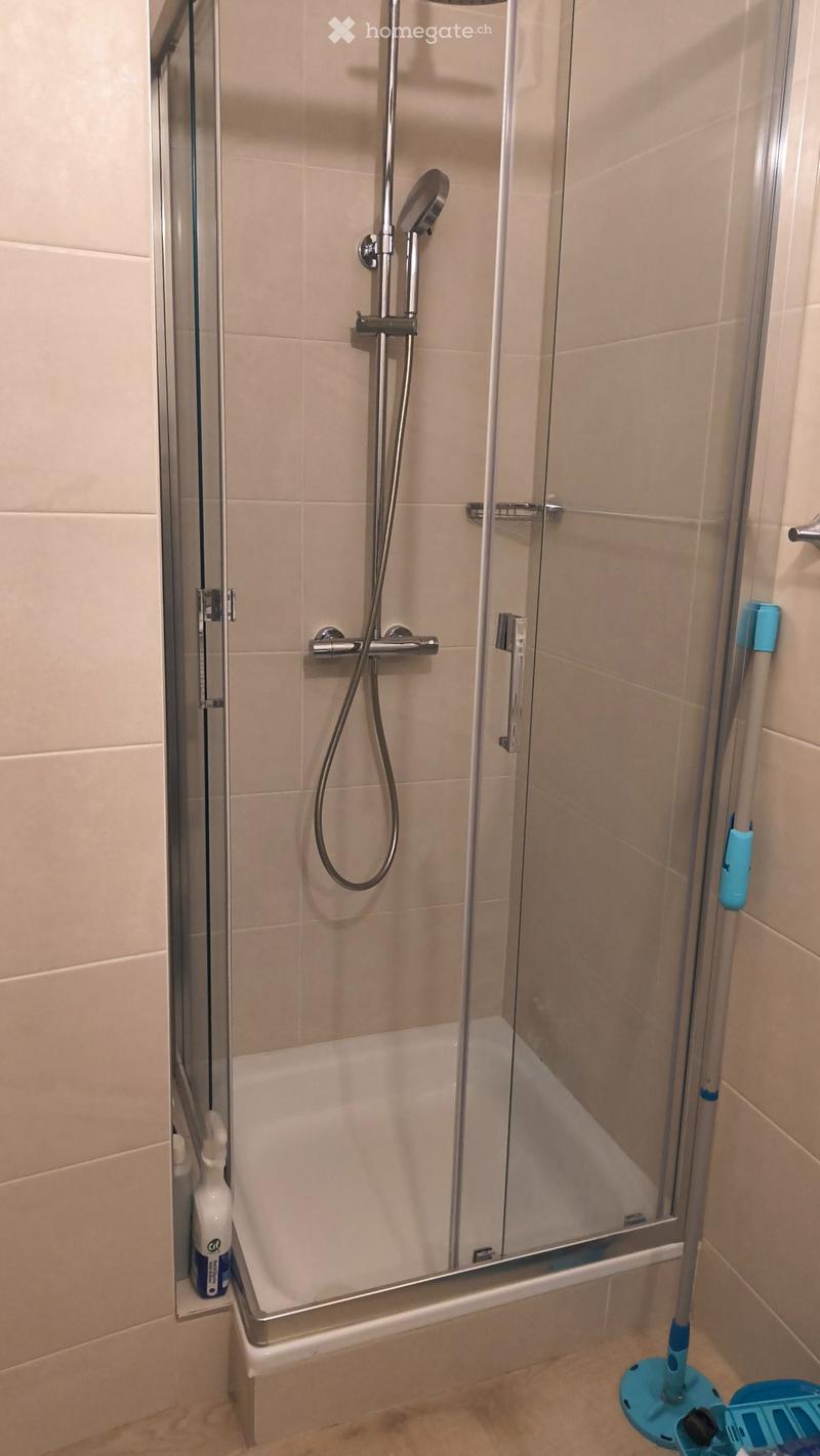 Grand studio de 40 m2 rénové et lumineux à Grand-Lancy (5)