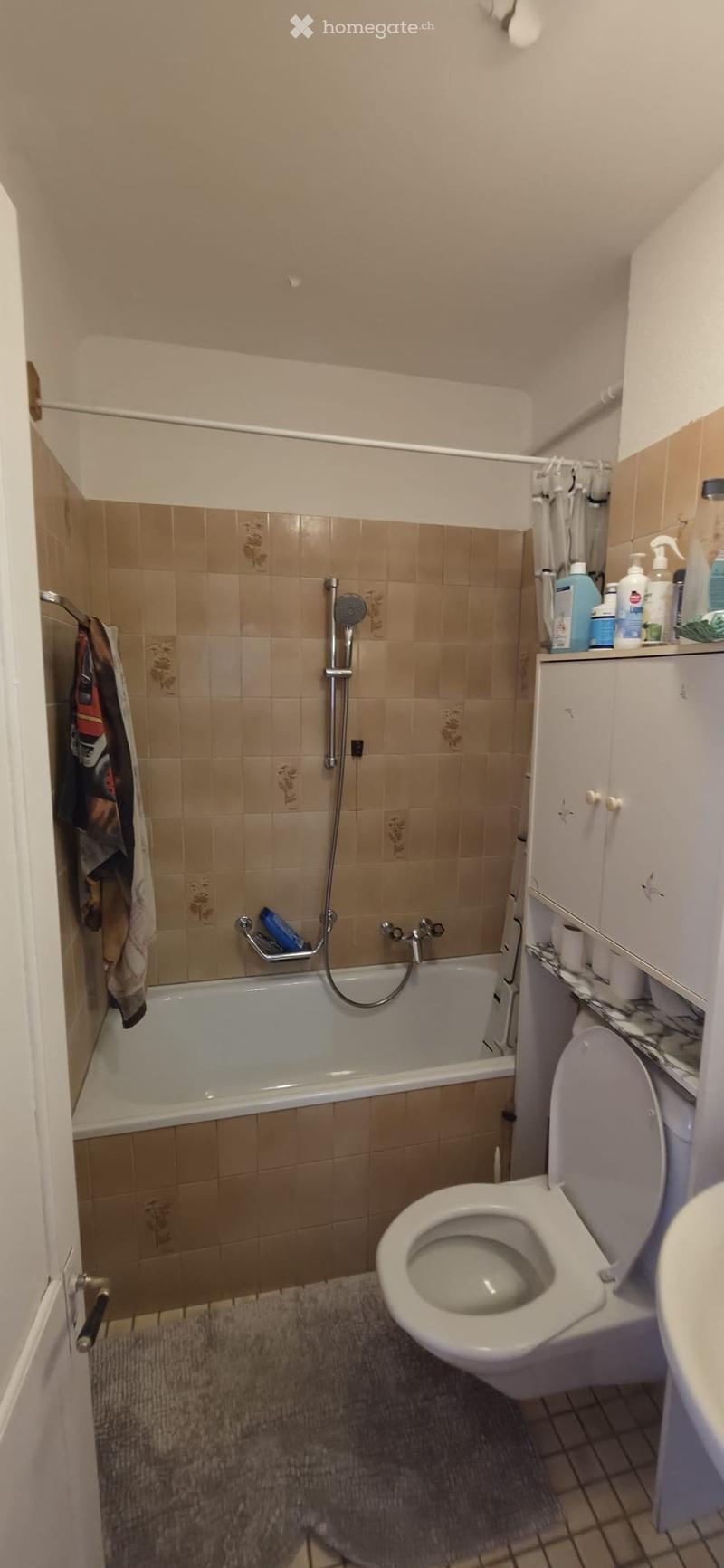 Appartement lumineux (2)