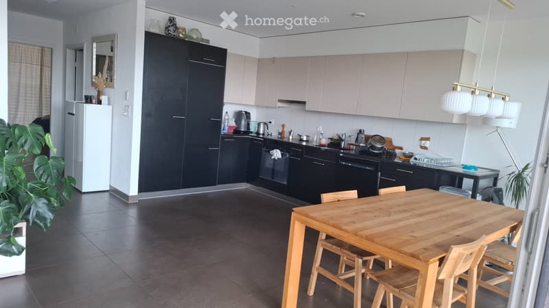 Lumineux appartement au Mont-sur-Lausanne (3)
