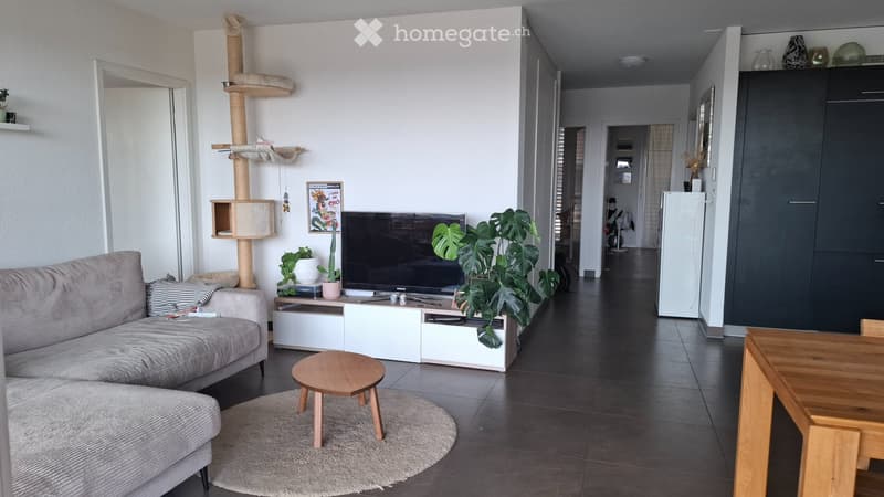 Lumineux appartement au Mont-sur-Lausanne (4)