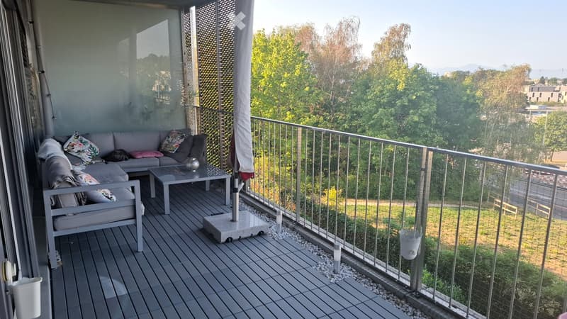 Lumineux appartement au Mont-sur-Lausanne (2)
