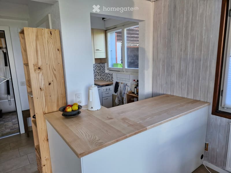 App. près de NE, villa familiale, à la lisière de la forêt (4)