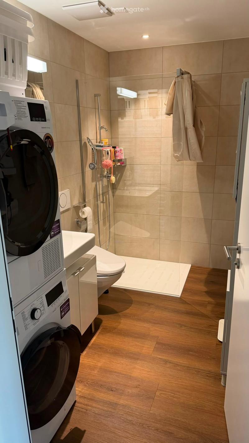 Wohnung zum Vermieten (4)