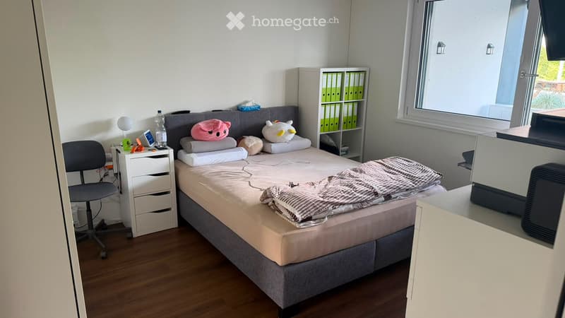 Wohnung zum Vermieten (2)