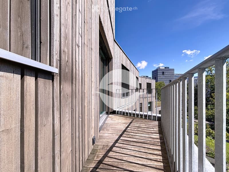 BEL APPARTEMENT AVEC BALCON , ACCÈS JARDIN COMMUN (4)