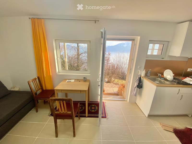 Studio meublé Mont Pèlerin (5)