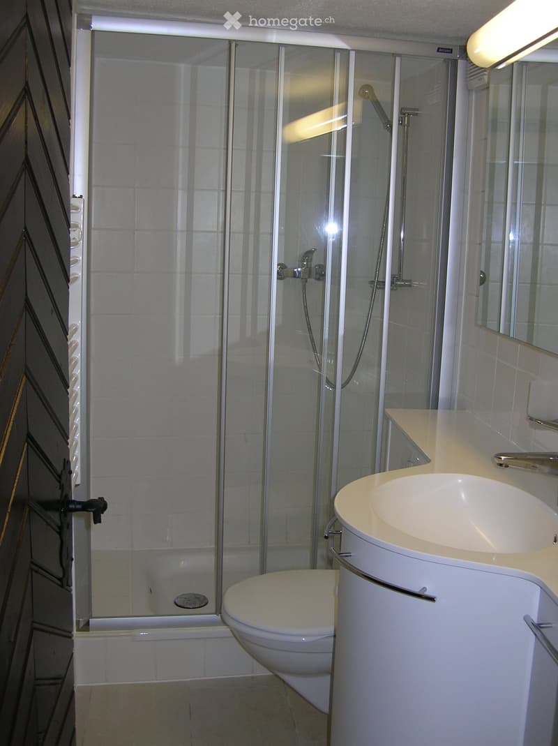 Appartement d'une pièce (5)