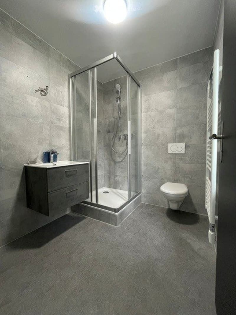 Appartement 4.5p au centre de Monthey rénové (3)