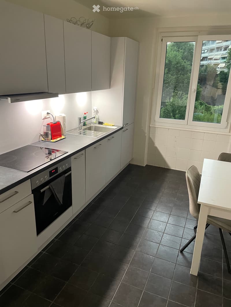 Colocation à Lausanne Prilly malley (2)