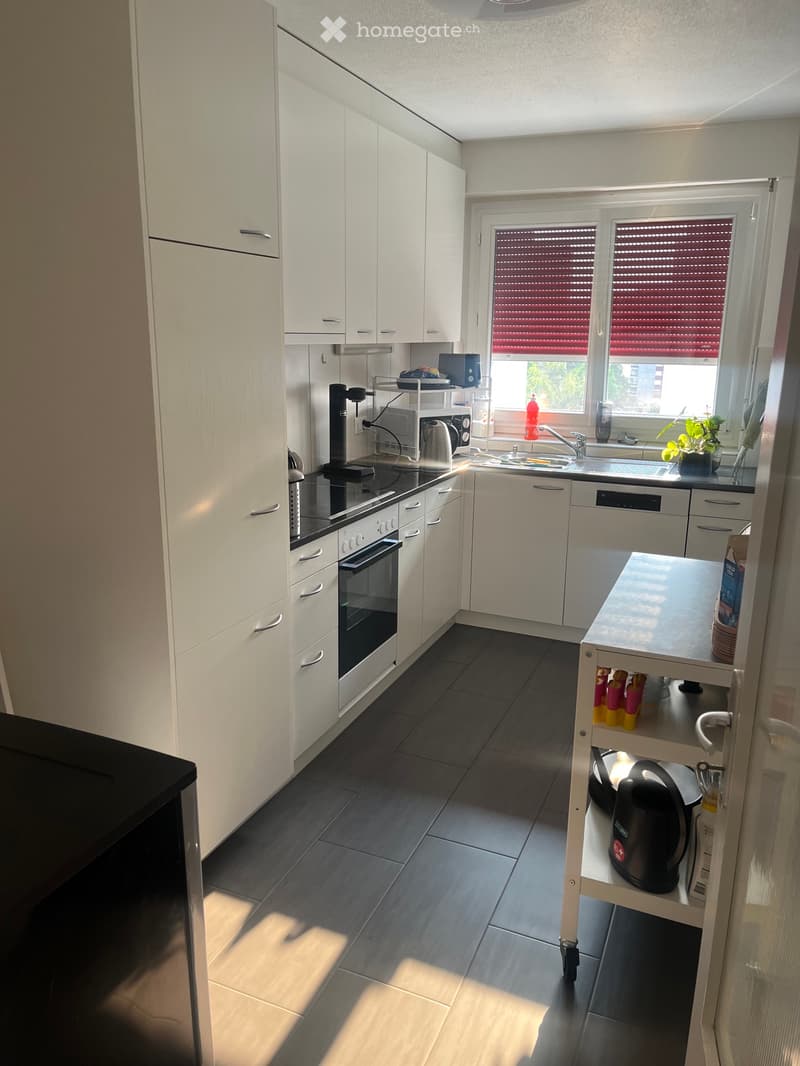 Appartement 5 ½ pièces à louer à Fribourg (3)