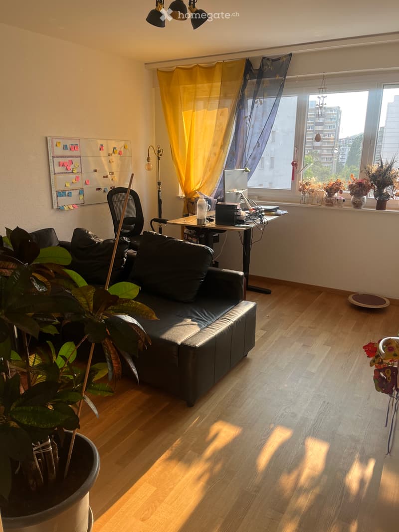 Appartement 5 ½ pièces à louer à Fribourg (4)