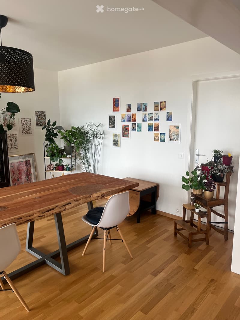 Appartement 5 ½ pièces à louer à Fribourg (2)