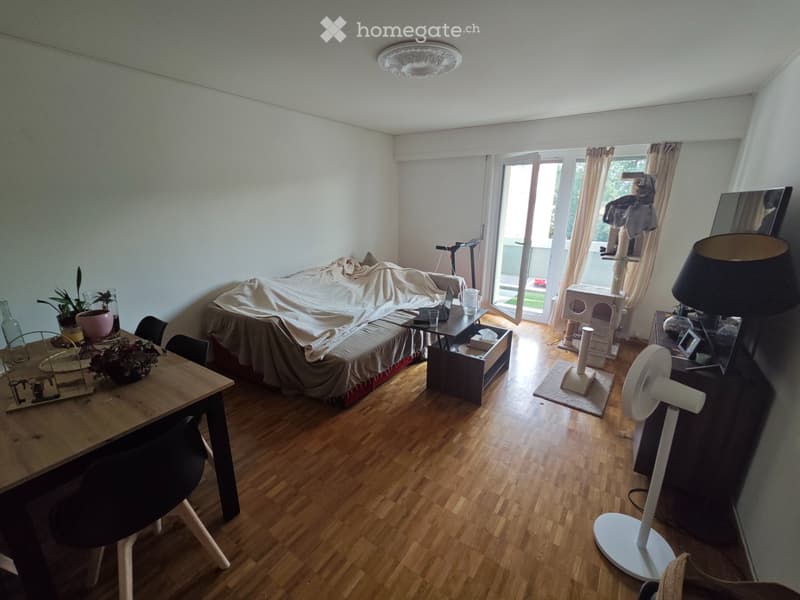 Reprise de bail Appartement 2,5 pièces (2)