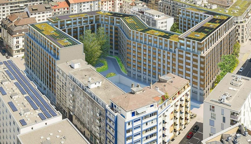 Magnifique appartement neuf de 2.5 pièces avec loggia (3)