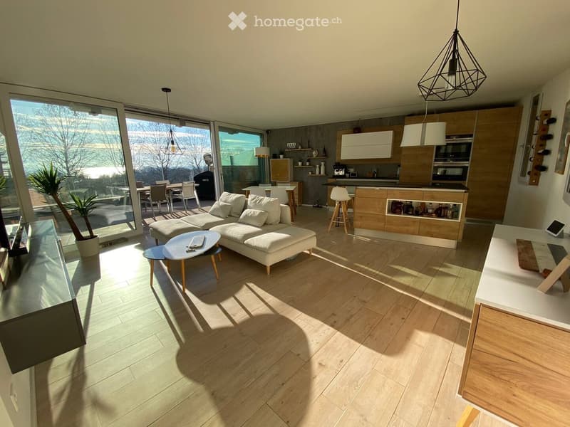 Vacances à Lausanne, bel appartement meublé, luxueux (3)