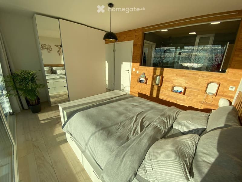 Vacances à Lausanne, bel appartement meublé, luxueux (5)