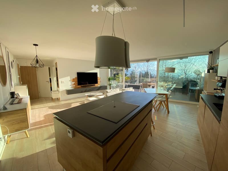 Vacances à Lausanne, bel appartement meublé, luxueux (4)