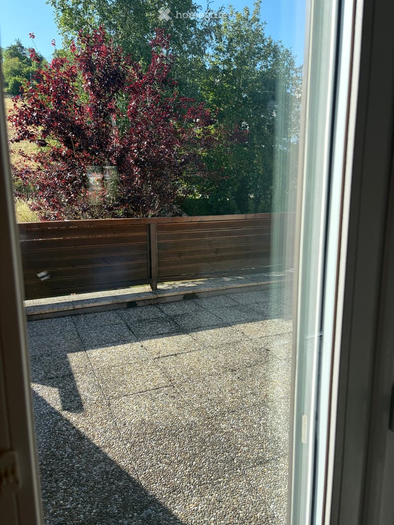 À louer  Superbe duplex de 3½ pièces avec terrasse, garage (5)