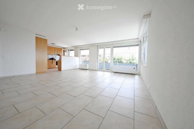 Lumineux 4 pièces - 100 m2 - vue - calme - bien situé (2)
