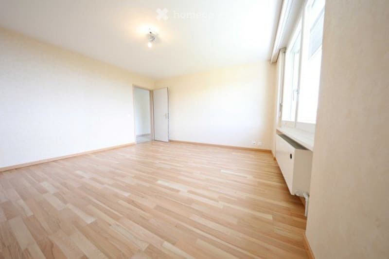 Lumineux 4 pièces - 100 m2 - vue - calme - bien situé (4)