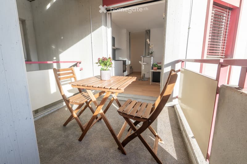 Studio meublé, rénové en 2026, loggia, cave, garage (5)